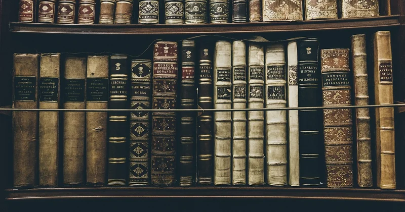 How do I learn SEO as a beginner?